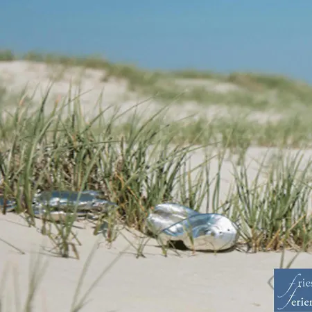 Apartament Friesenhain