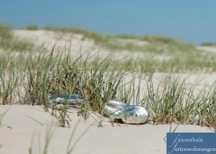 Lägenhet Friesenhain